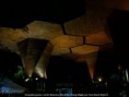 /album/fotogaleria-/ana-maria-orquideor-copia-jpg/